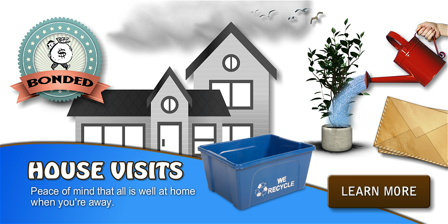 Professional HOUSE VISIT services in the scarborough bluffs. DogsInTheBluffs