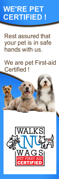 Professional pet care services in Scarborough Bluffs